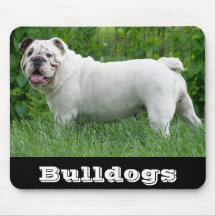 White English Bulldog Puppy Dog Mousepad