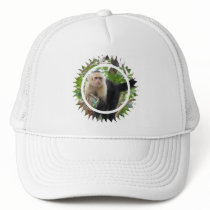 White Faced Capuccin Monkey Baseball Hat