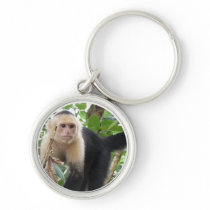 White Faced Capuccin Monkey Keychain