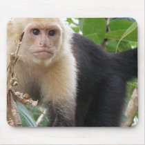 White Faced Capuccin Monkey Mouse Pad