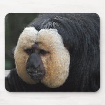 White Faced Saki Monkey Mouse Pad