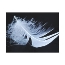 White feather - angelic by nature canvas print