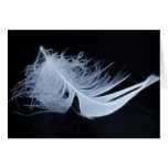 White feather - angelic by nature greeting cards