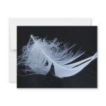 White feather - angelic by nature invitations