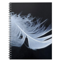 White feather - angelic by nature spiral note books