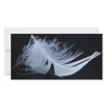 White feather - angelic by nature photo cards