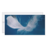 White feather art - symbol of purity and innocence photo cards