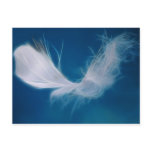 White feather art - symbol of purity and innocence postcards