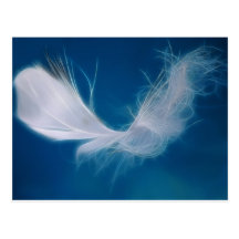 White feather art - symbol of purity and innocence post card