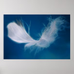 White feather art - symbol of purity and innocence posters