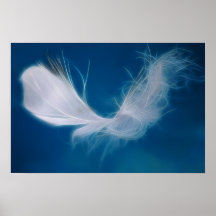 White feather art - symbol of purity and innocence posters