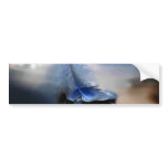 White feather sailing bumper stickers