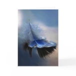 White feather sailing cards