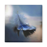 White feather sailing magnets