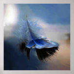 White feather sailing posters