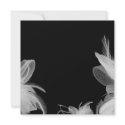 White Feathers Invitation