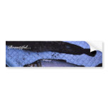 White Fish Humpback bumper stickers
