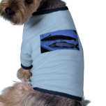 White Fish Humpback pet clothing