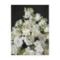 White Flower Bouquet postcards