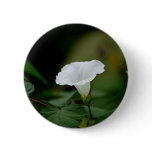 White Flower buttons