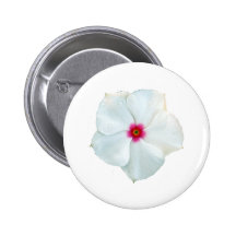 white flower buttons