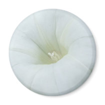 White Flower Centre Magnet