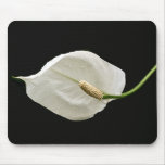 White flower mousepads