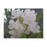 White Flower Postcard
