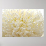 White Flower posters