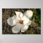 White Flower Print