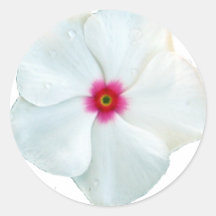 white flower round stickers