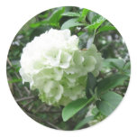 white flower sticker