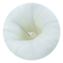 White Flower Stickers