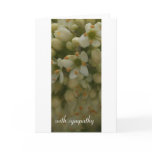 White Flower : with sympathy Greeting Card