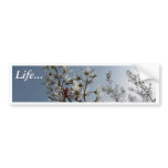 White Flowering Bush On Sun bumper stickers