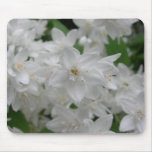 White flowering shrub mousepads