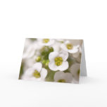 White Flowers Card