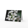 White Flowers Cards