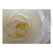 White Flowers Card Rose Flower Greeting Card Blank