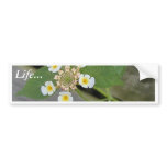 White Flowers Macros Leaves bumper stickers