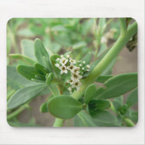 White flowers. mousepads