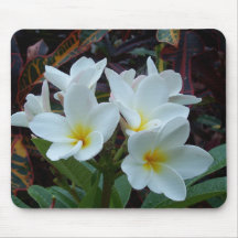 White flowers Mousepad