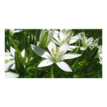 white flowers photo cards