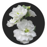 White Flowers stickers