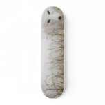 White Fox skateboards
