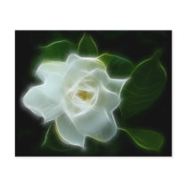 White Gardenia Flower Plant Flyer Design