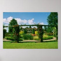 White Gardens of the Rose, St. Albans, England flo Posters