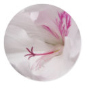 White Geranium Sticker