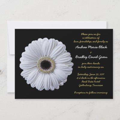 White Gerbera Daisy Wedding Invitation by wasootch