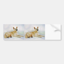 White German Shepherd Bumper Stickers